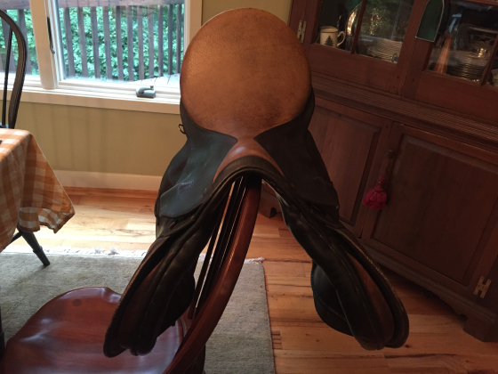 saddle